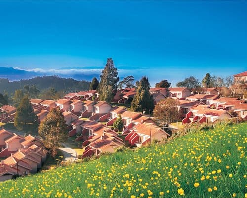 Ooty